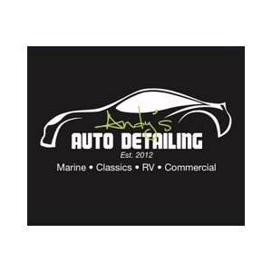 Andy’s Auto Detailing, Professional Onsite Service